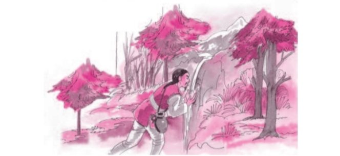 Taro’s Reward class 6 NCERT Solutions Taro’s Reward class 6 NCERT Solutions