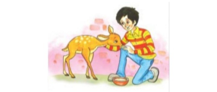 This is Jody's Fawn class 8 NCERT Solutions This is Jody's Fawn class 8 NCERT Solutions