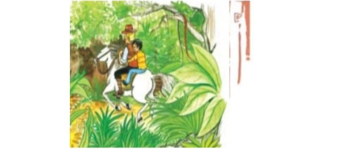 This is Jody's Fawn class 8 NCERT Solutions This is Jody's Fawn class 8 NCERT Solutions